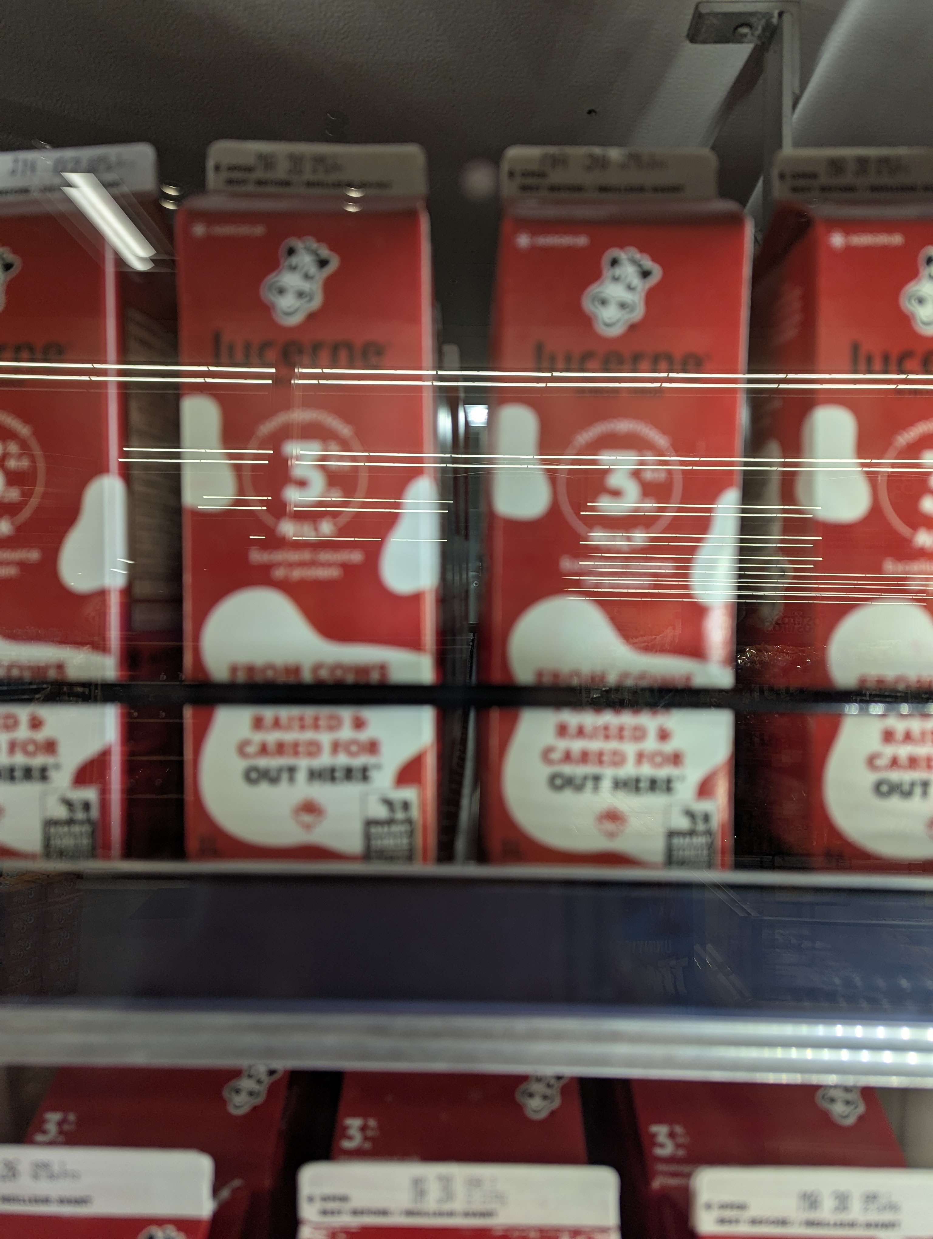 Birthday Trip to Canada